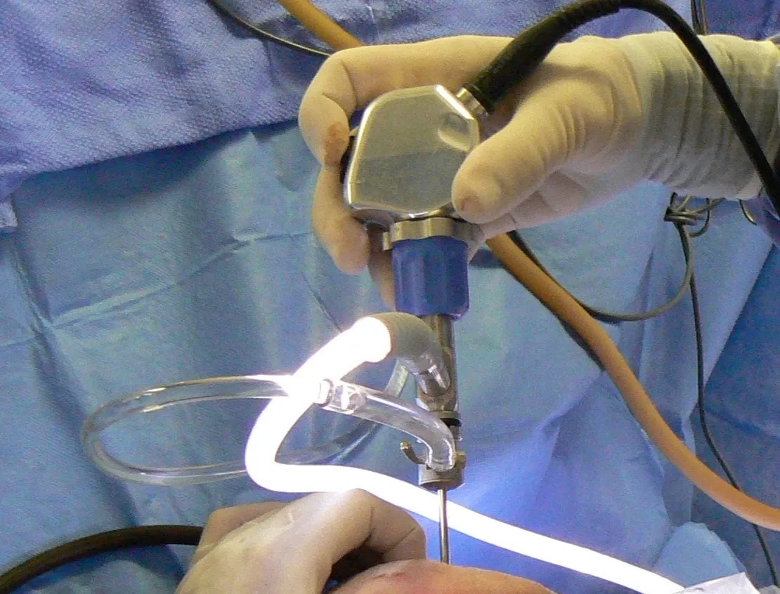 Veterinary surgeon performing arthroscopy on a dog's elbow