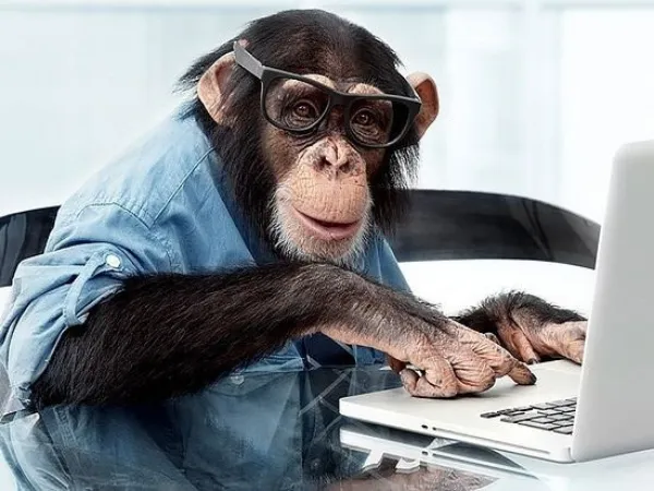 Chimpanzee wearing glasses typing on a laptop